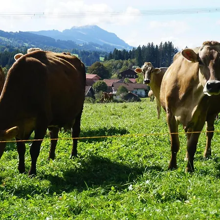 Reitemann Oy-Mittelberg